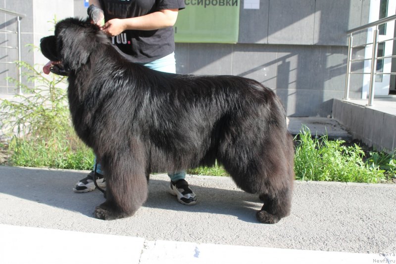 Фотография № 236679