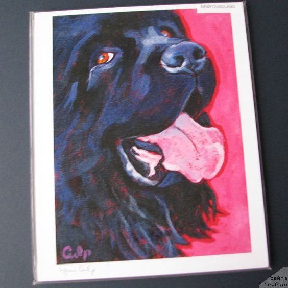 Фотография № 236682