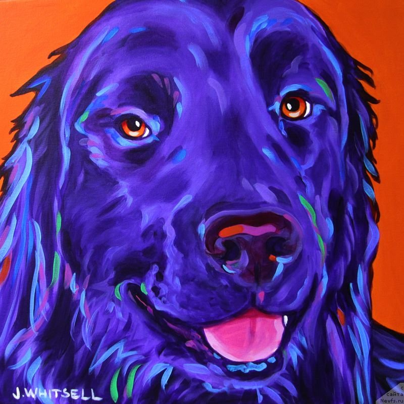 Фотография № 236683