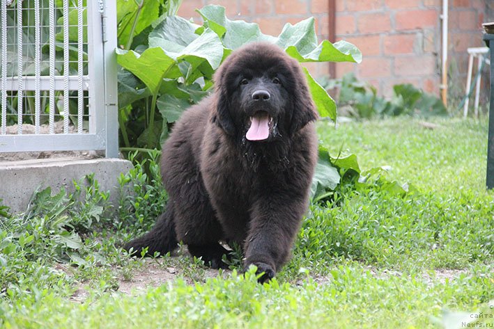 Фотография № 236690