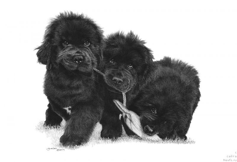 Фотография № 236724