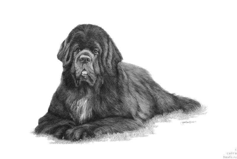 Фотография № 236725