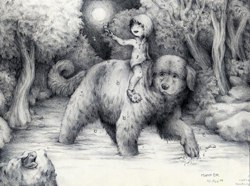 Фотография № 236726