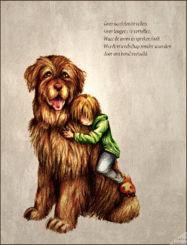 Фотография № 236727