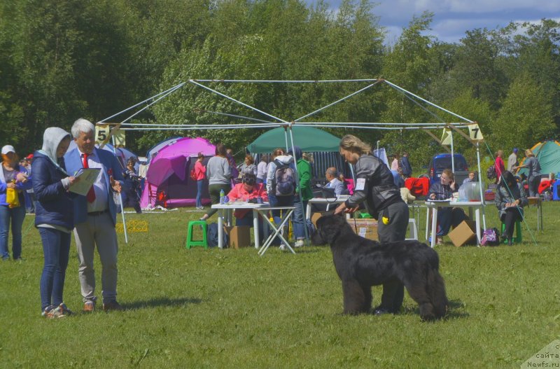 Фотография № 236757