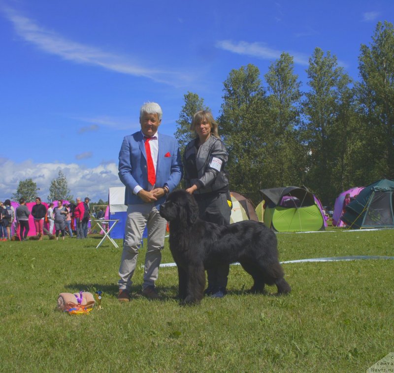 Фотография № 236758