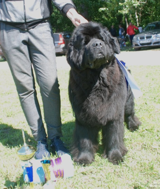 Фотография № 236775