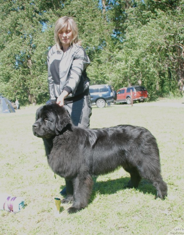 Фотография № 236777