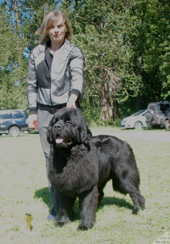 Фотография № 236780