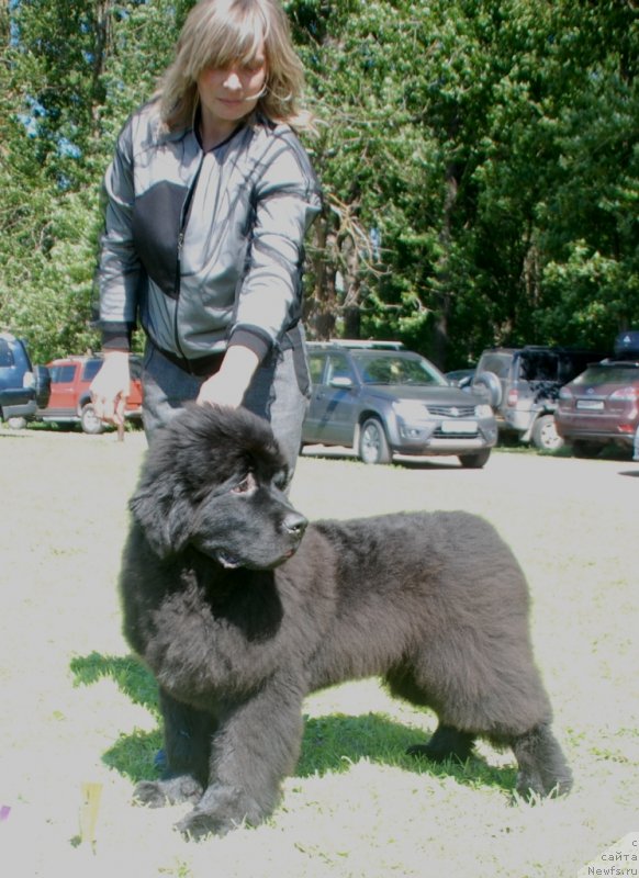 Фотография № 236784