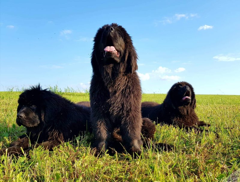 Фотография № 236786