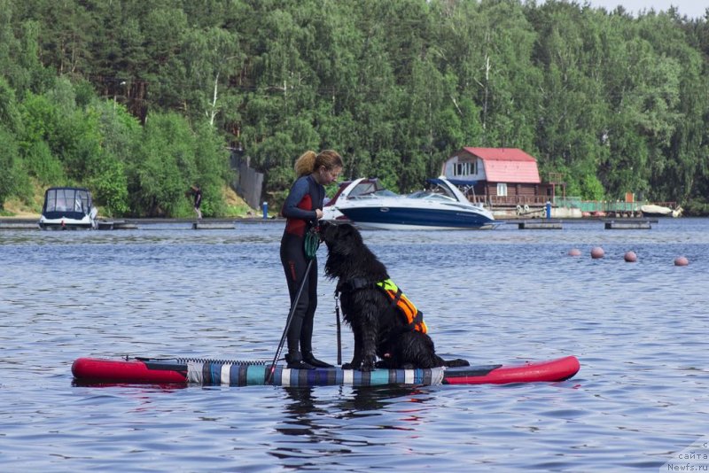 Фотография № 236792