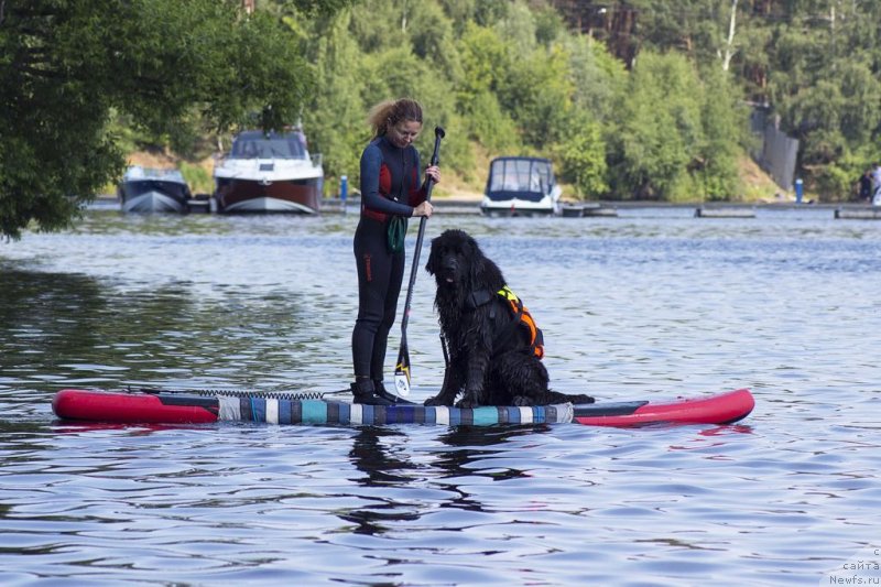 Фотография № 236793