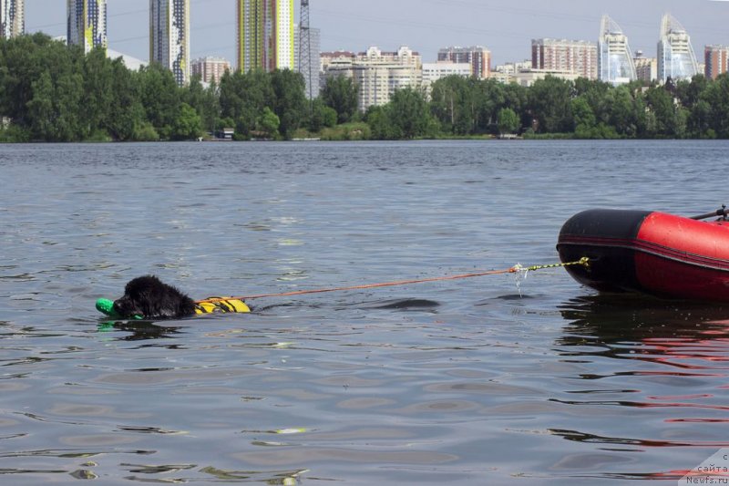 Фотография № 236799