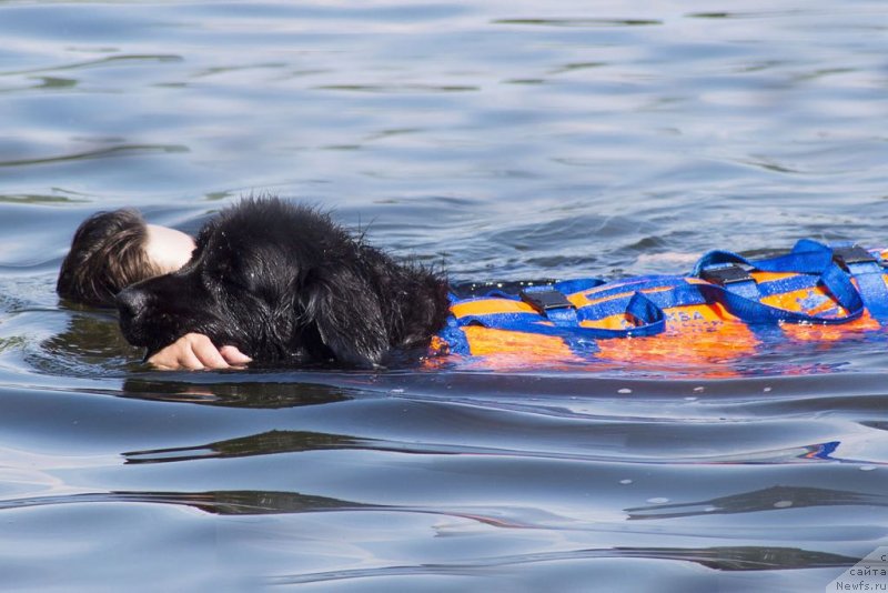 Фотография № 236803