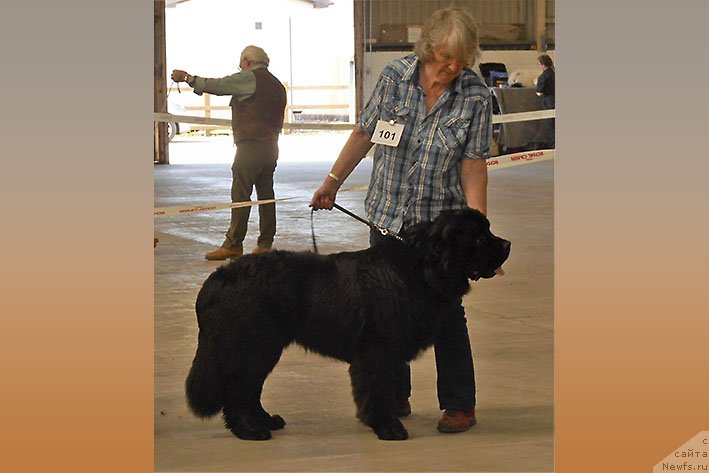 Фотография № 236805