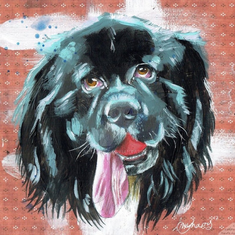 Фотография № 236836