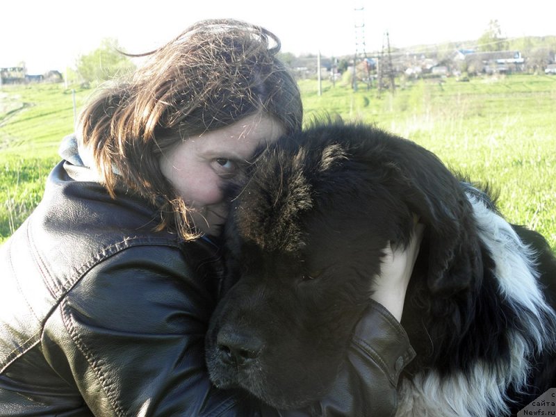 Фото: Alla Tuzkova (Алла Тузкова), ньюфаундленд Starbimovlav Gardemarin (Старбимовлав Гардемарин)