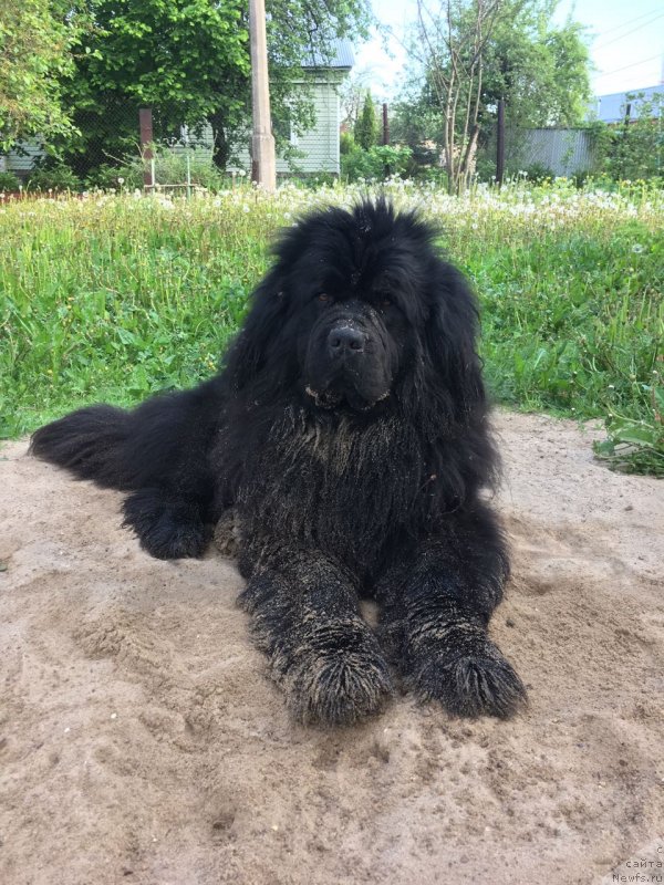 Фотография № 236877