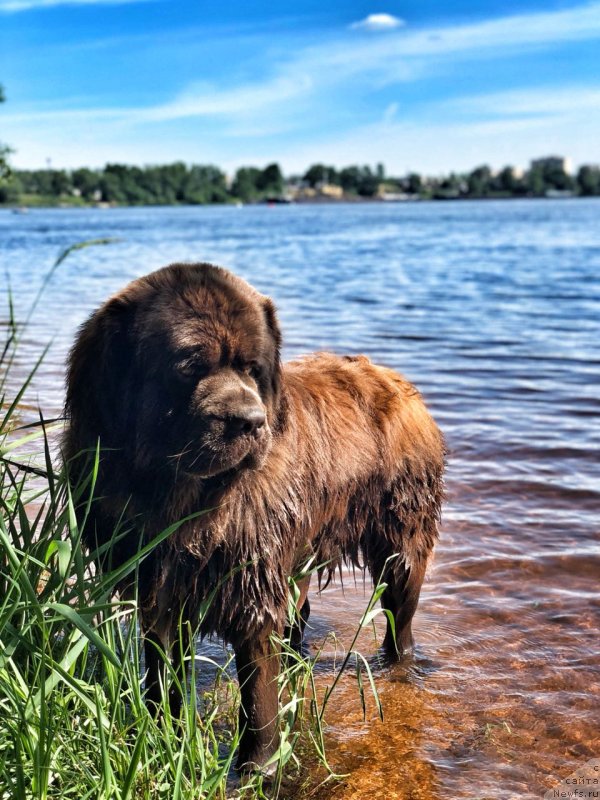 Фотография № 236880