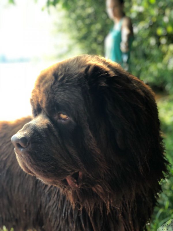 Фотография № 236882