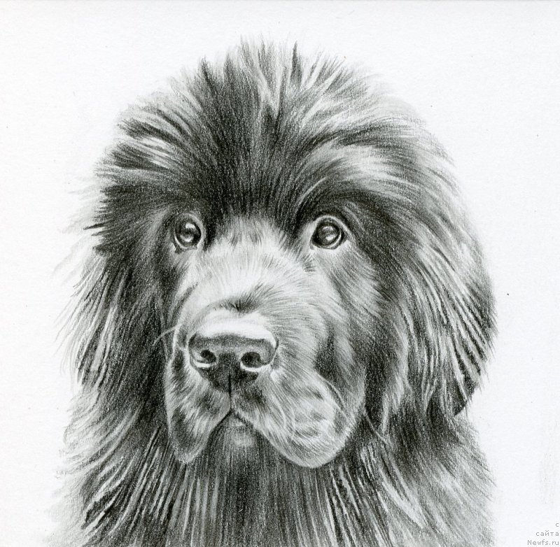 Фотография № 236884