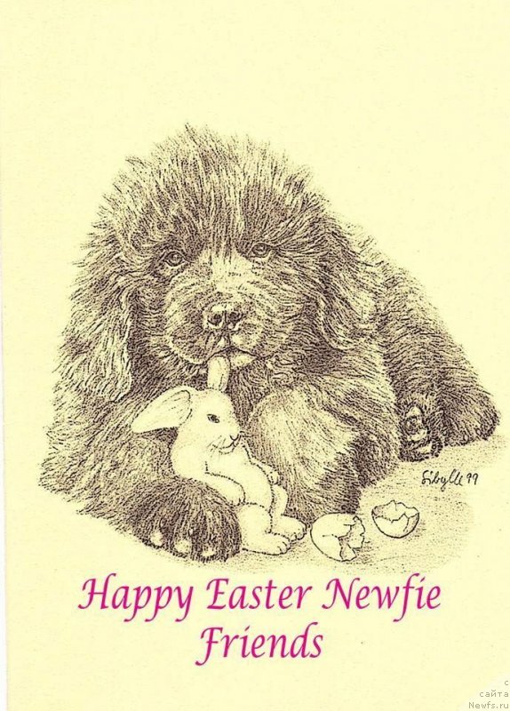 Фотография № 236892