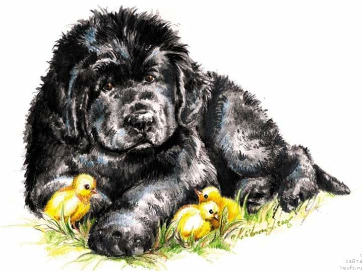 Фотография № 236893