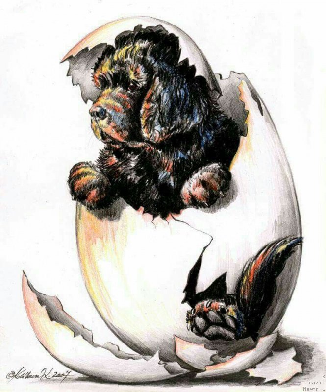 Фотография № 236894