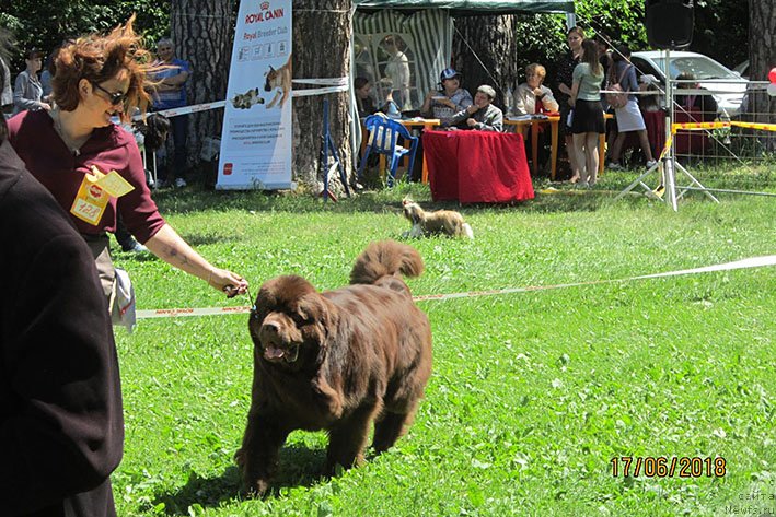 Фотография № 236913