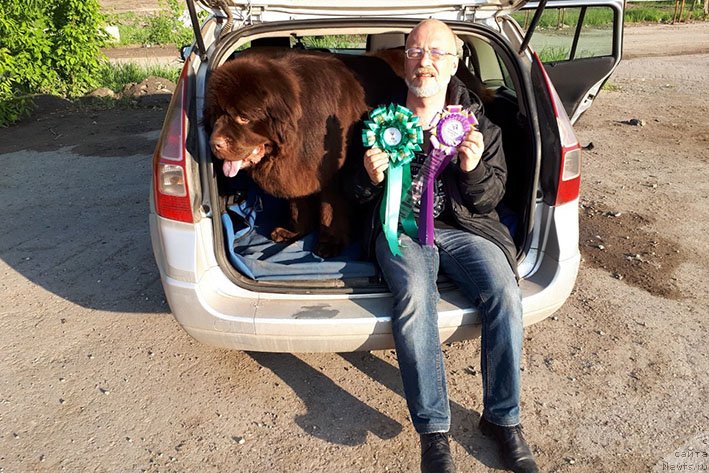 Фотография № 236915