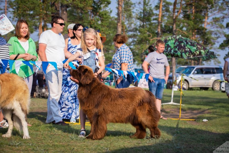 Фотография № 236921