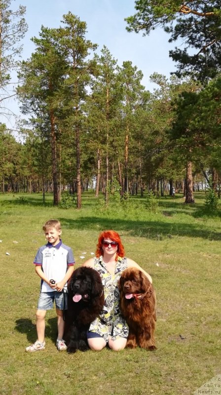 Фотография № 236922