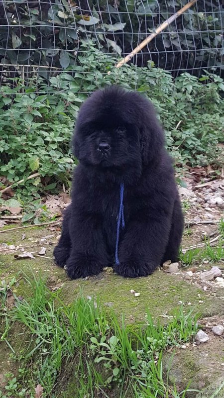 Фотография № 236936