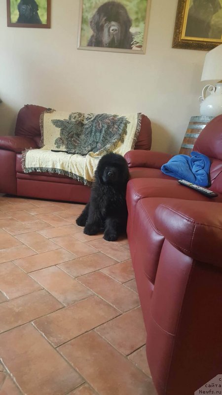 Фотография № 236937