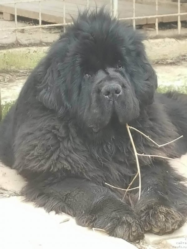 Фотография № 236938