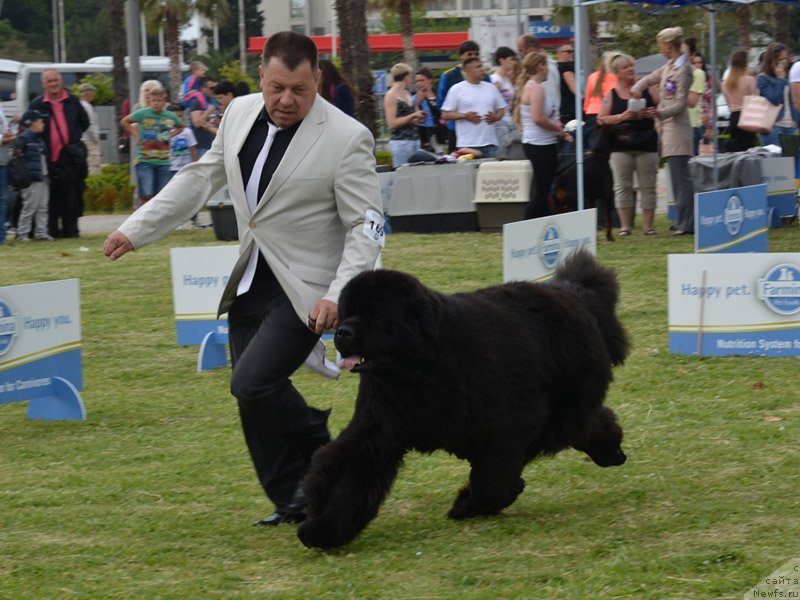 Фотография № 236939