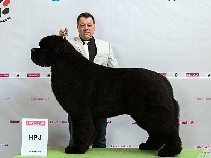 Фотография № 236940