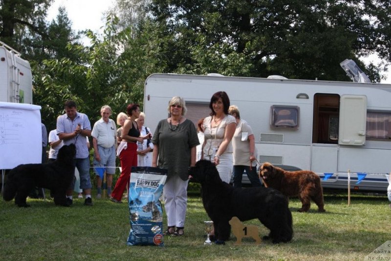 Фотография № 236944