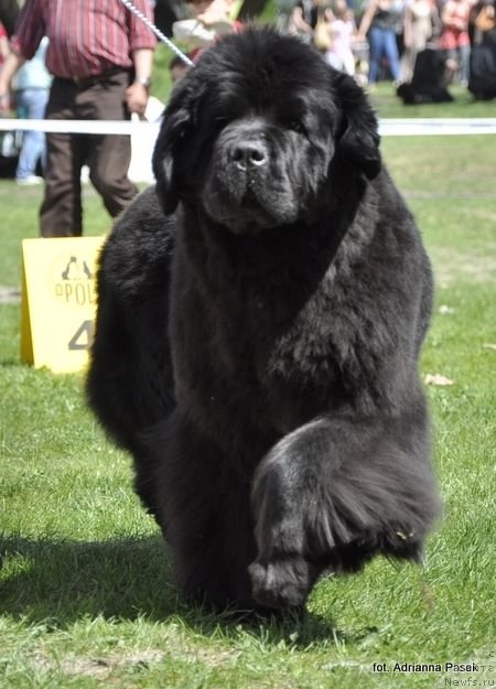 Фотография № 236945