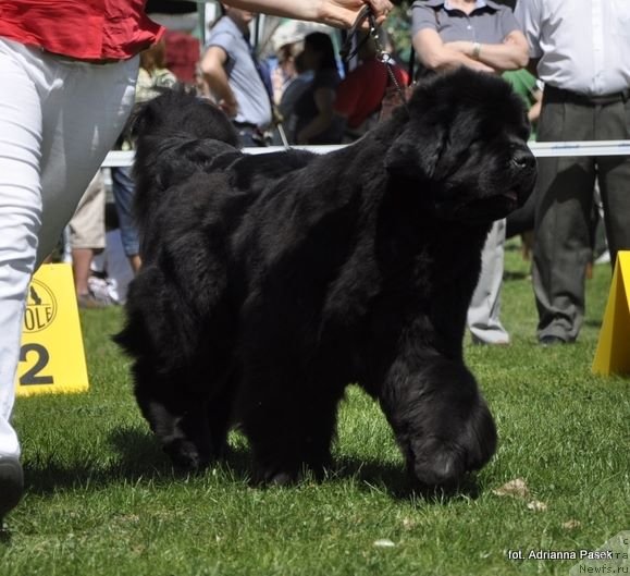 Фотография № 236946