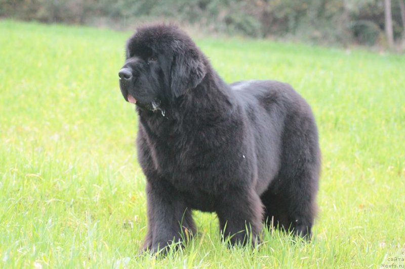 Фотография № 236948