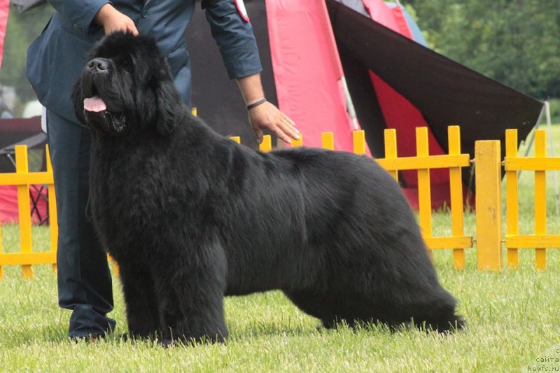 Фотография № 236952