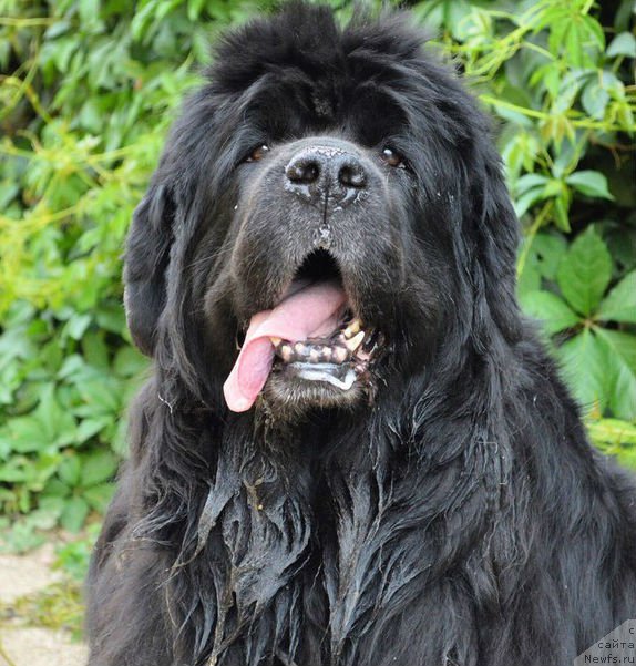 Фотография № 236988