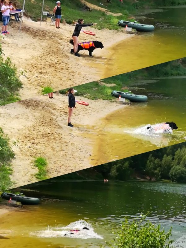 Фотография № 236992