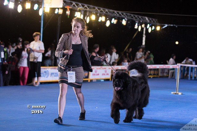 Фотография № 236995