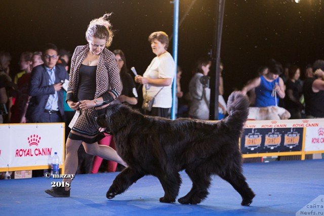 Фотография № 236996