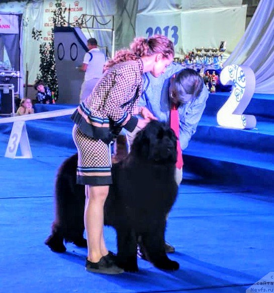 Фотография № 236998