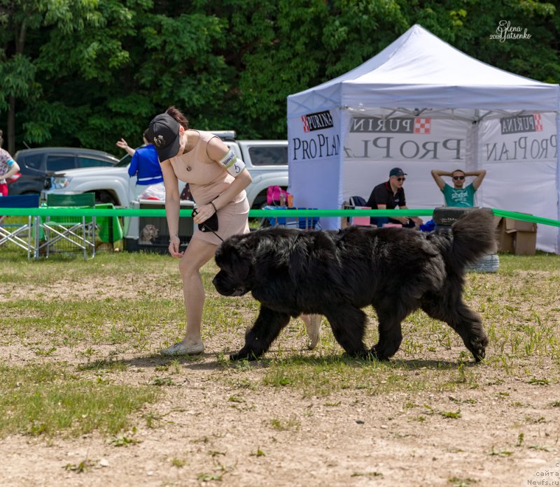 Фотография № 237012