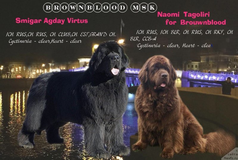 Фотография № 237014